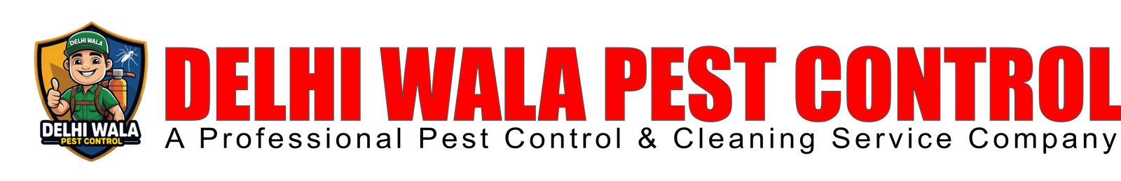 Delhi Wala Pest Control in Delhi